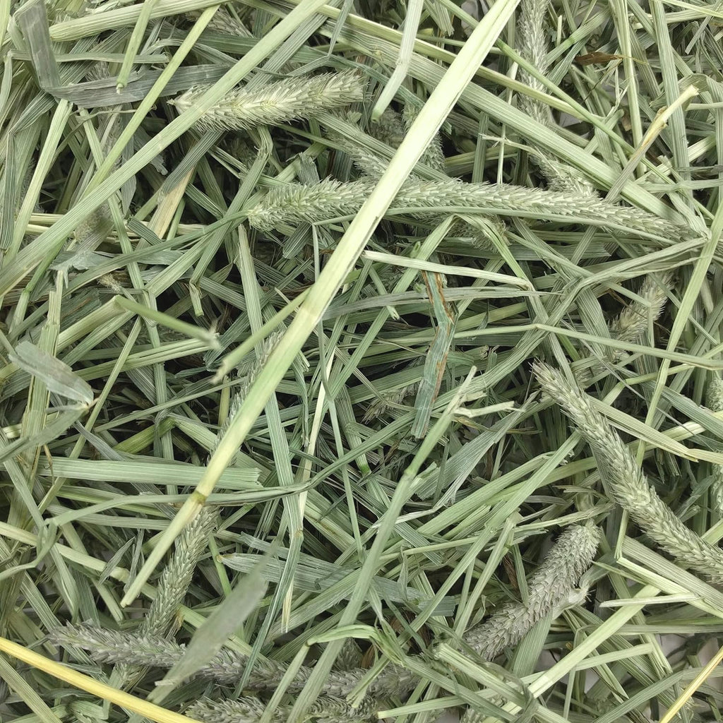 Animal Health Western Timothy Hay - All Natural Hay for Rabbits, Guinea Pigs, Chinchillas, Hamsters & Gerbils-Veterinarian Recommended- Digestive & Dental Health- Grown in the USA- 9Lb.
